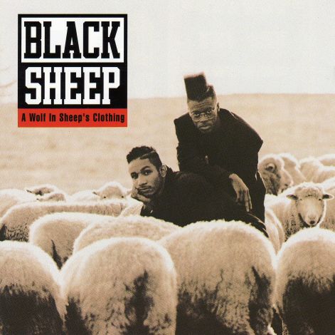 black_sheep_-_a_wolf_in_sheep_front.jpg