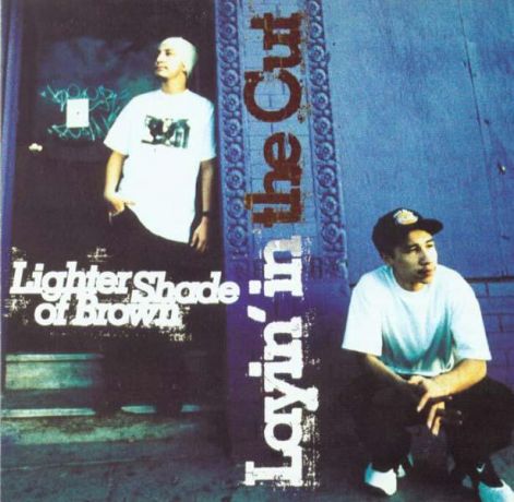 lighter_shade_of_brown_-_layin_in_the_cut_-_cover.jpg