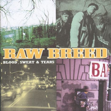 raw_breed_-_blood_sweat_and_tearsfront.jpg
