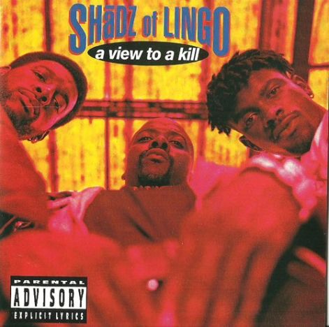 shadz_of_lingo_-_view_to_a_kill.jpg